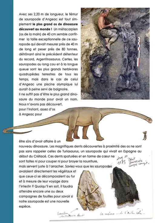 Bande-dessinée - Mimo 1 - dinosaures - inspirée du site de fouilles paléontologiques d'Angeac-Charente