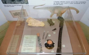 boîte en verre dinosaures os mimo eidola éditions fouilles paléontologie archéologie