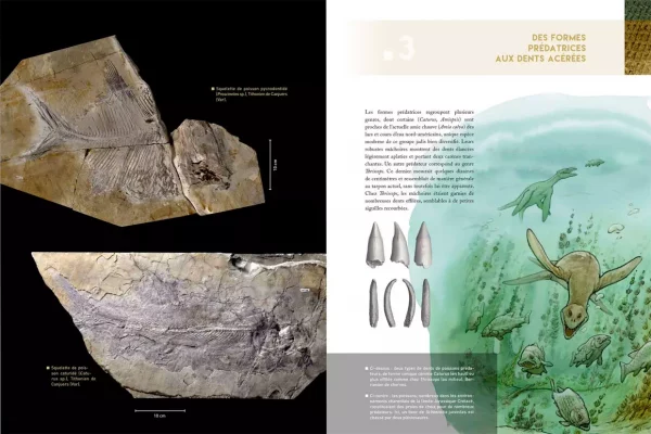 dinosaures eidola éditions ronan allain mazan collectif livre scientifique étude science archéologie paléontologie fouilles
