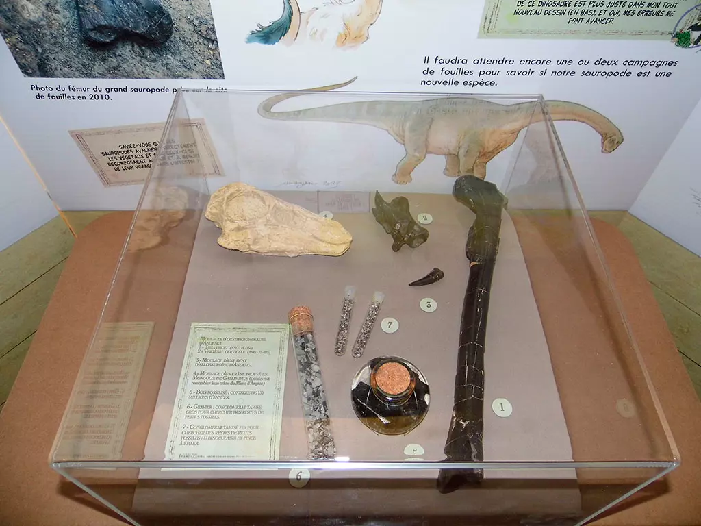 eidola éditions mimo exposition archéologie paléontologie dinosaures fouilles