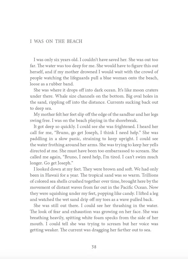 Recueil de poésie - Caution ! Poison snake ! No entry ! - musical et illustré