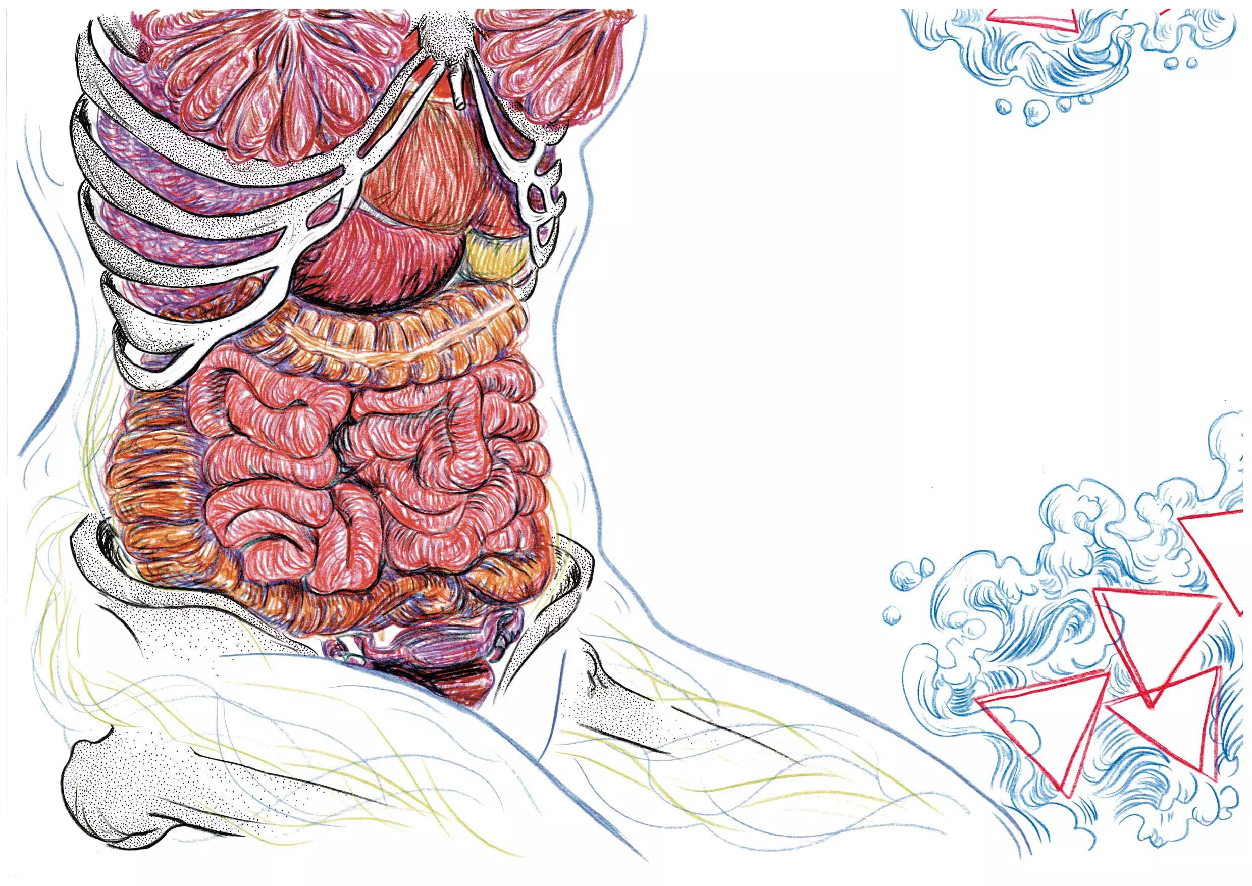 Bande-dessinée - La femme squelette - légende inuit - chants inuits