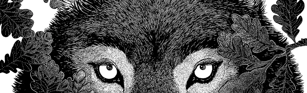 eidola éditions legend of the willow lecture musicale article