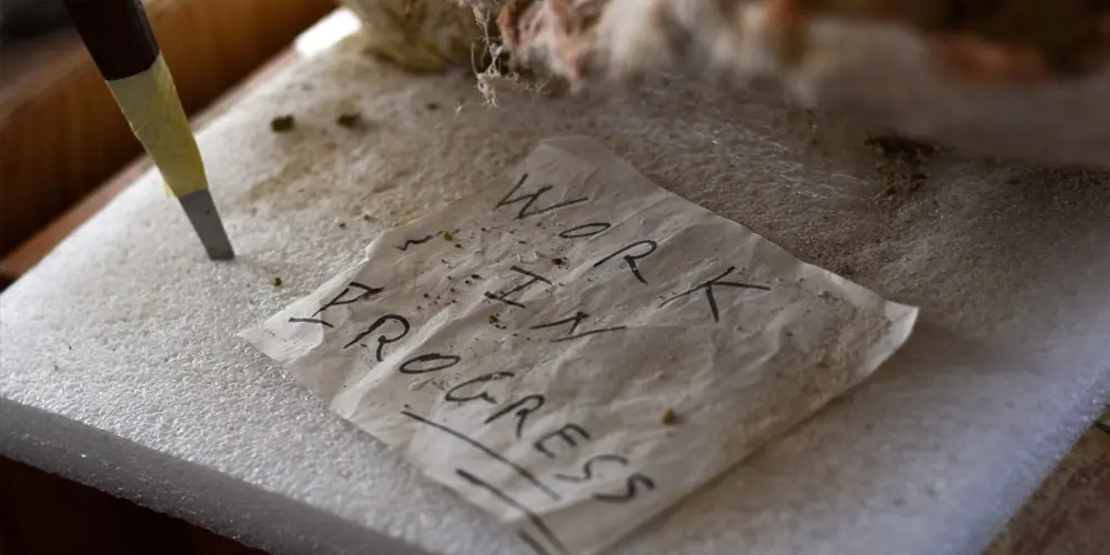 ronan allain eidola édition fossiles interview article musée d'angoulême mimo