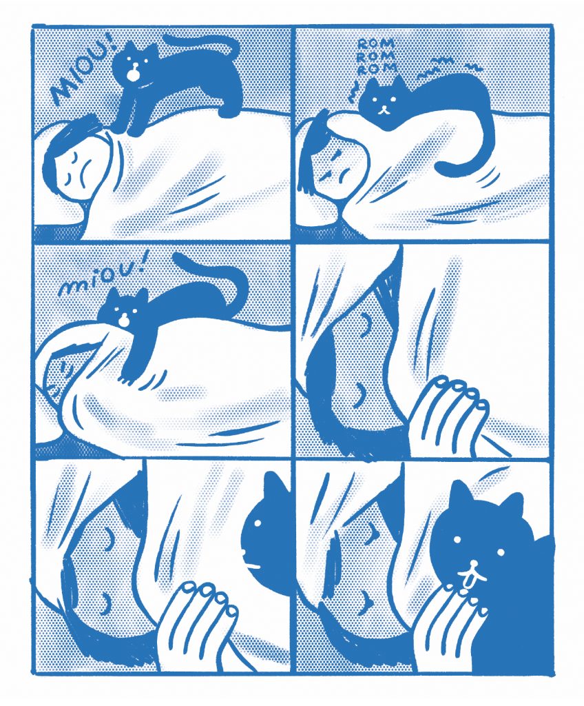 Bande-dessinée jeunesse - Miaou - journée d'une petite fille et ses deux chats