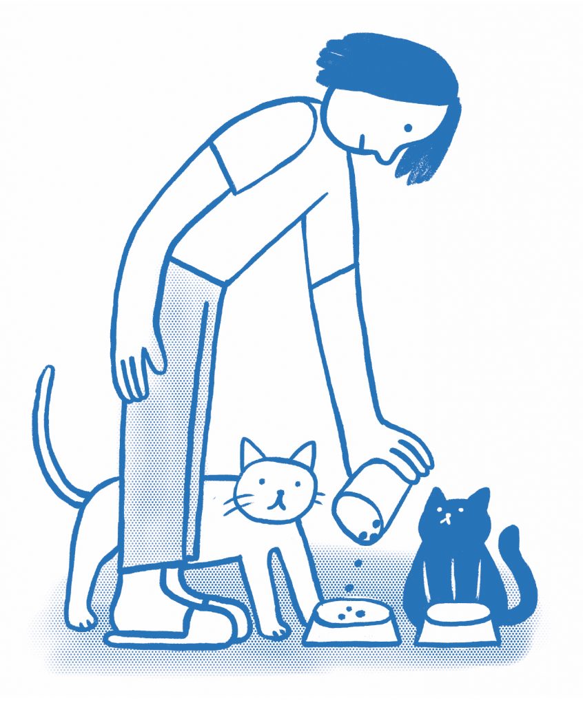 Bande-dessinée jeunesse - Miaou - journée d'une petite fille et ses deux chats